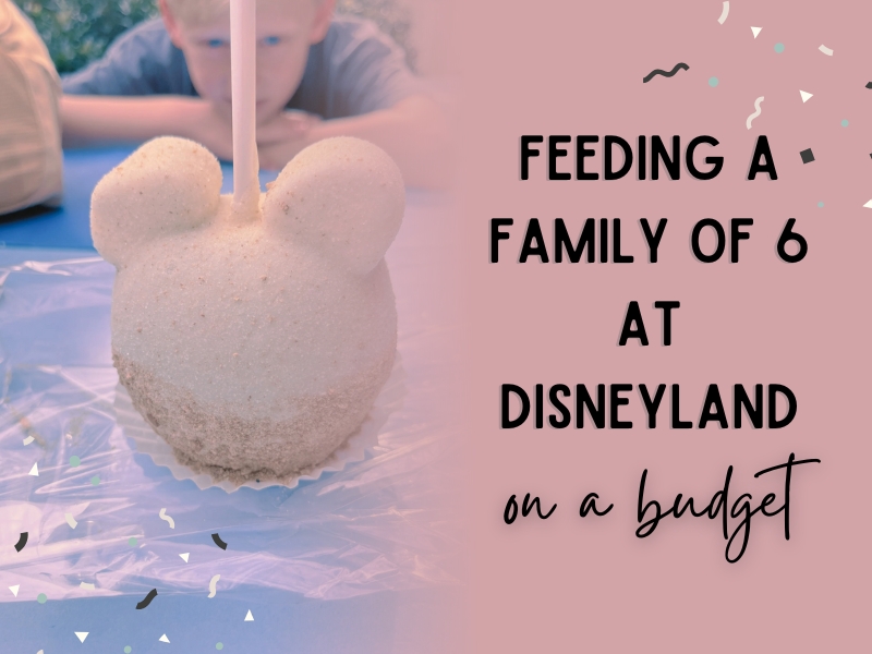 What We Ate At Disneyland As A Family of 6 on a&nbsp;budget